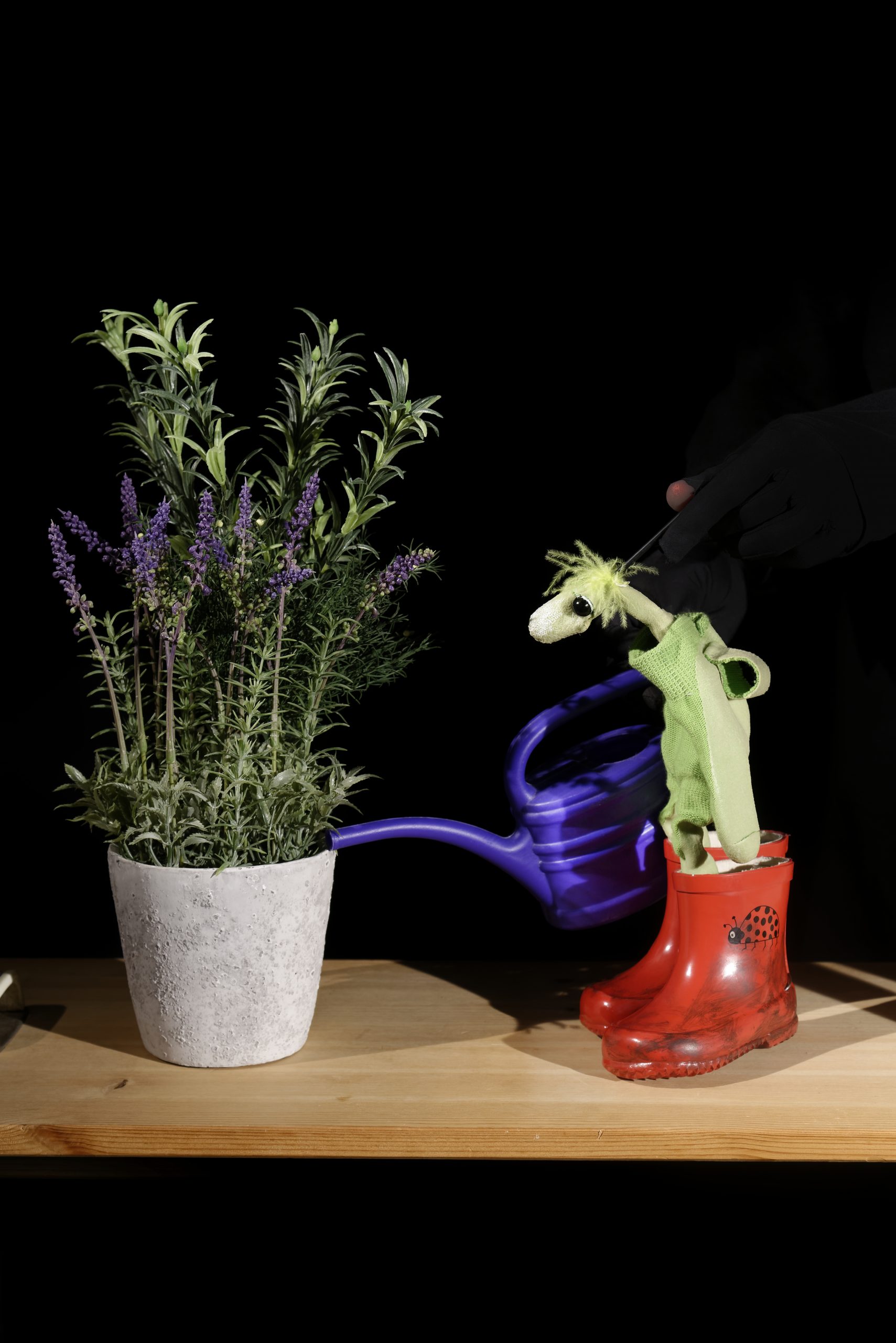 Figurentheater Hattenkofer: Als der kleine Koriander kam